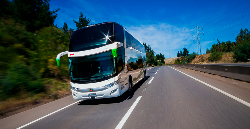 buses